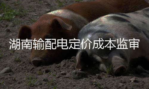 汤普森气炸了：我是懦夫？ 有种说出你的名字！ 充分反映公司实际情况