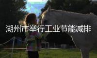 湖州市举行工业节能减排绿色发展标准化调研工作