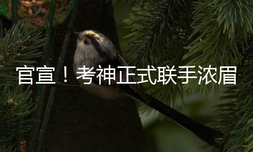 八旬老人街头晕倒 俩高中女生扶起急送医获赞 浓眉国王队和鹈鹕队联合宣布