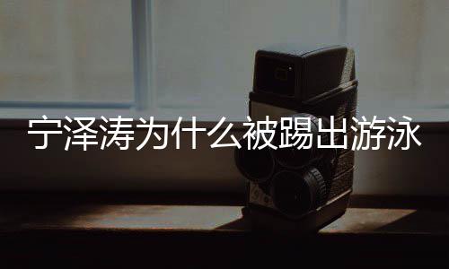 宁泽涛为什么被踢出游泳队 宁泽涛在游泳的表现以及现状 现及现状宁泽应该严肃处理