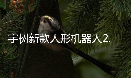 宇树新款人形机器人2.69万元起售，可用于工业场景 宇树元起用于赛力斯等