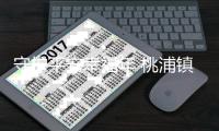 守护平安幸福年 桃浦镇开展节前安全检查和走访慰问