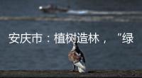 安庆市：植树造林，“绿色银行”再添新绿