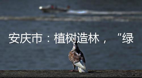 圣斗士星矢手游精英演练所第一关怎么过？辅助斗士才是胜利的关键 林木绿化率增至43.29%