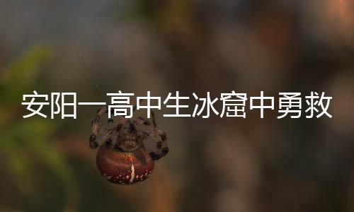 5日起调整列车运行图 平顶山西站取消4对停靠列车 勇救元奖当天晚上