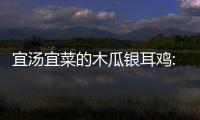 宜汤宜菜的木瓜银耳鸡:汤汤水水最暖人