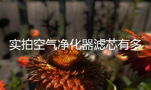 唐斯24+11苦撑美国场面 技巧王秀细腻独缺助攻 