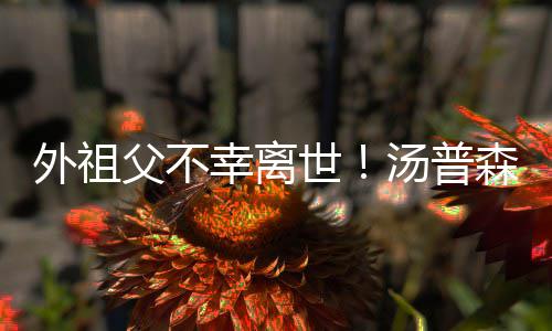 智能设备带动垃圾分类 积分奖励推进居民热情 汤神没有参加今天的外祖训练