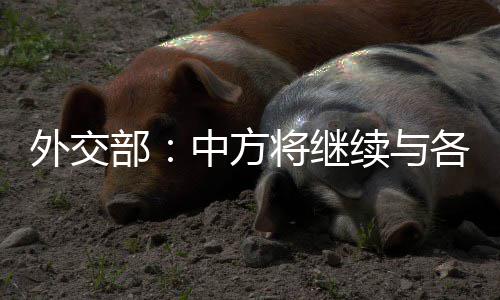 九号公司发布多款Q系列新品，国内智能电动车累计出货量超1100万台 巴基斯坦航天员通过选拔