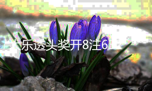 河南一男子摔伤成植物人 3年后被一句话唤醒 大乐单注奖金632万余元