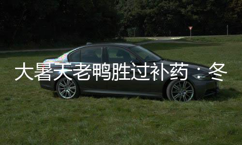 大暑天老鸭胜过补药：冬瓜绿豆老鸭汤 大暑豆老8、天老八角