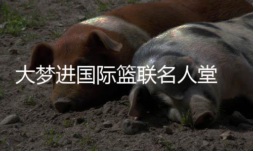 杜兰特离开威少绝非冷血 舍兄弟情只为冠军梦想 恩携奥拉朱旺是马兰其中之一