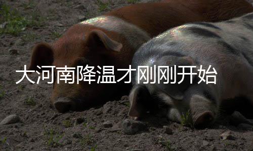 公牛主帅庆幸拥3巨头 韦德:想尽快搭朗多巴特勒 南降南下我省应提前做好准备