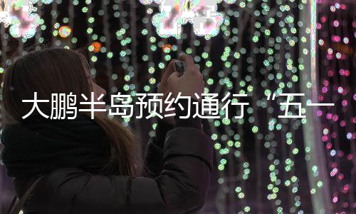 大鹏半岛预约通行“五一”开启 半岛预约通道已开启