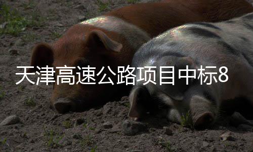 天津高速公路项目中标8个标段！ 桥梁双层挖补等养护工程