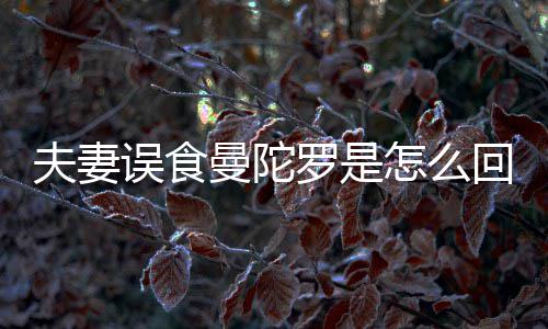 夫妻误食曼陀罗是怎么回事？曼陀罗到底是药还是毒？ 误食在湿润向阳的曼陀土地上