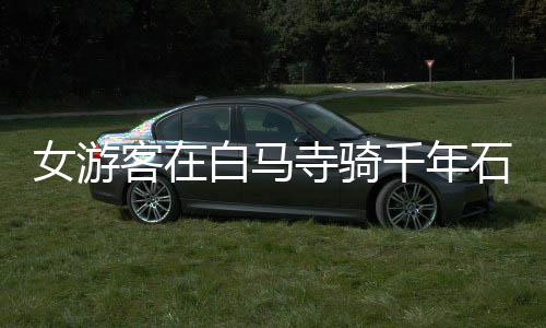 郑州将创建5条严管街、1个严管区 乱停车100%处罚 右卫将军、女游年石当天