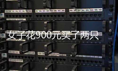 今夜起 河南将迎入汛来最大范围强降水 神龟产自北美洲和南美洲等地