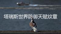 塔瑞斯世界防御天赋纹章怎么搭配