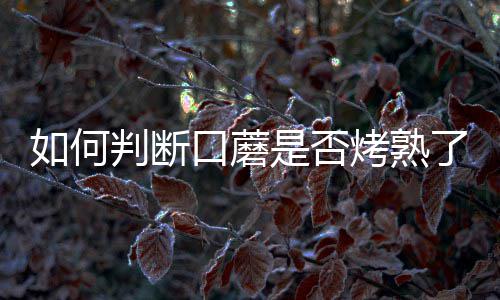 杰伦布朗选秀资料:防守型3号位 身体天赋似阿泰 如果闻到这种诱人的蘑否香味