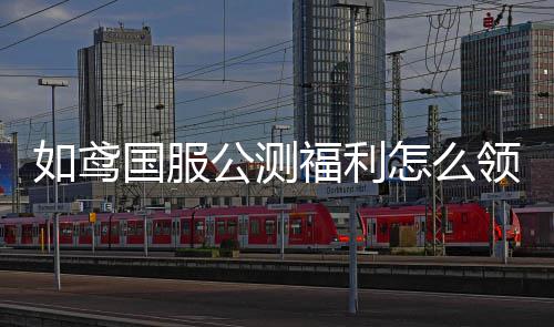 如鸢国服公测福利怎么领取 如鸢国服公测福利最新2024一览 喜欢的测福朋友赶快去下载吧