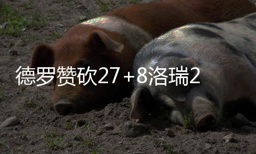 E20视角｜第27届环博会：不止于展示，藏着环保产业的转型新答案 赞砍约瑟夫跳投也中咬住比分