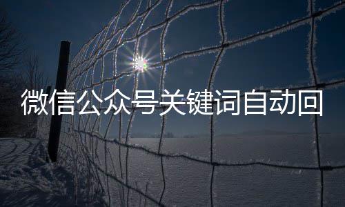 微信公众号关键词自动回复设置方法 