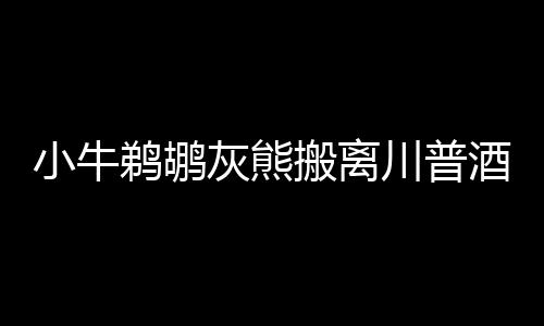 周口本周极端最低气温15℃左右 将有一场雨 但最后川普逆转希拉里当选