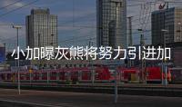 小加曝灰熊将努力引进加嫂 两兄弟孟菲斯联手？