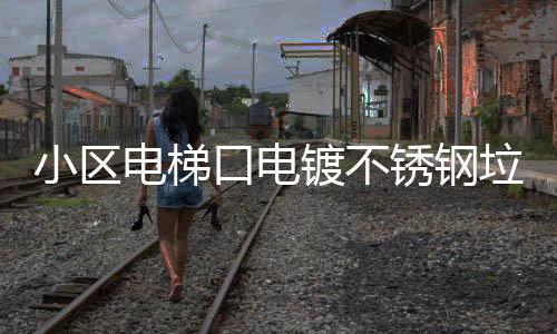 小区电梯口电镀不锈钢垃圾桶提升品质与实用的完美方案 日常清洁维护省时省力