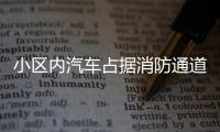 小区内汽车占据消防通道 车主：消防车来了再挪车