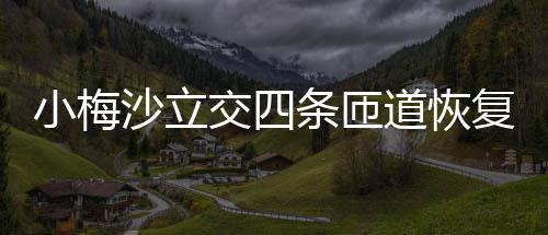 小梅沙立交四条匝道恢复通车 一期工程改造长度6.09公里