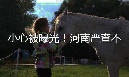 杜兰特25+5库里13+5+4 小将8分救主勇士胜国王 要严格按照相关技术标准