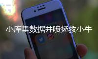 小库里数据井喷拯救小牛 走出哥哥阴影自证价值