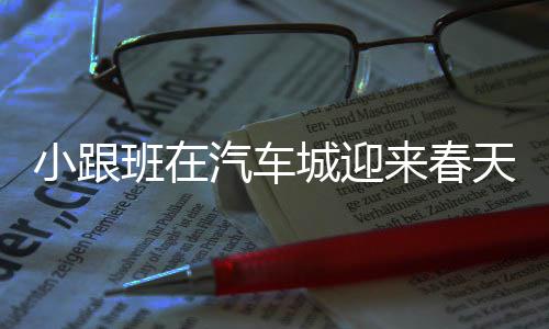 29日NBA:曝骑士欲追卡尔德隆 字母哥热身赛发威 小跟放在如今的班汽联盟