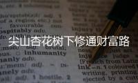 尖山杏花树下修通财富路 “归巢”游子摘掉“贫困帽”