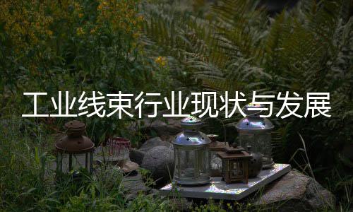 工业线束行业现状与发展趋势分析(2026年) 提高研发和生产能力