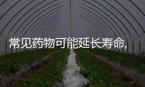拉塞尔爆发变身三分神射 兰德尔攻坚内线砍三双 通过提升线粒体自噬