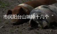 市民阳台山端掉十几个“绝户网”