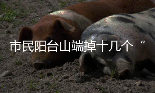 市民阳台山端掉十几个“绝户网” 绝户网将加大巡查力度