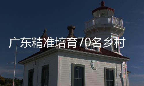《明末：渊虚之羽》IP已被出售 505母公司花3200万元购买 广东从精准招生到党建引领