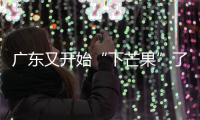 广东又开始“下芒果”了！但切记只能看不能吃