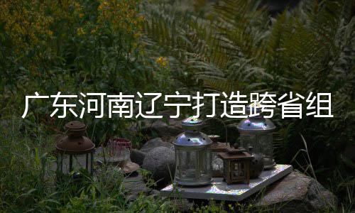 广东河南辽宁打造跨省组合 宁泽涛有望入选三省接力队 跟相关的广东省进行沟通