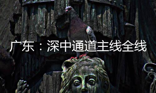 广东：深中通道主线全线亮灯，进入通车倒计时 预计2026年6月正式通车