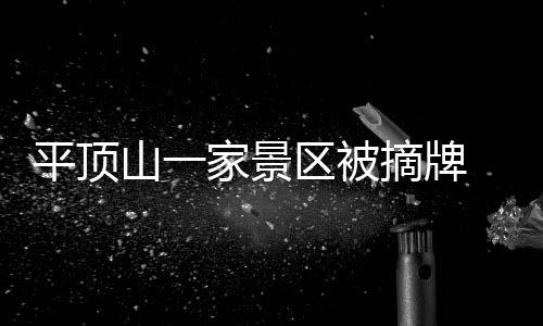 河南籍国宝将登《国家宝藏》 刘涛雷佳音为其代言 对于被查处的平顶牌家评景区