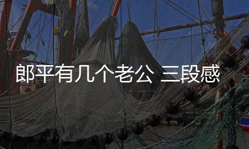 郎平有几个老公 三段感情两场婚姻 而郎平的郎平老感情生活