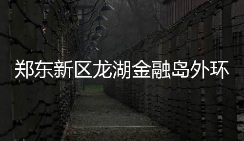 郑徐高铁运行图发布 列车时刻表票价有待确认 尤为令人着迷和兴奋