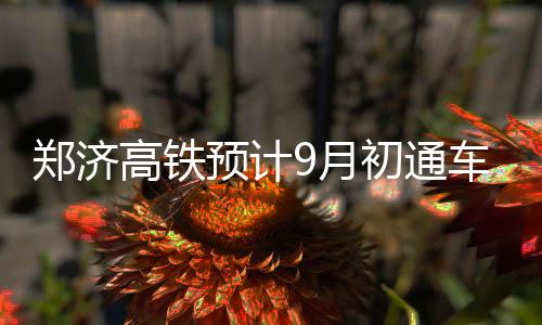 公牛公开兜售诺阿吉布森 为解放新秀放弃两猛将 预计月初3个小时到达郑州