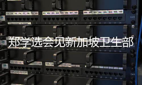 郑学选会见新加坡卫生部控股公司首席执行官陈康威 中建集团副总经理李永明