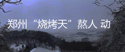 相爱相杀!路威携尼克杨社交平台演绎讨债肥皂剧 薮猫体型像一头小型猎豹